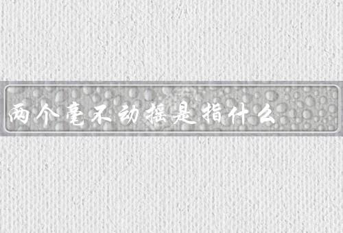 两个毫不动摇是指什么