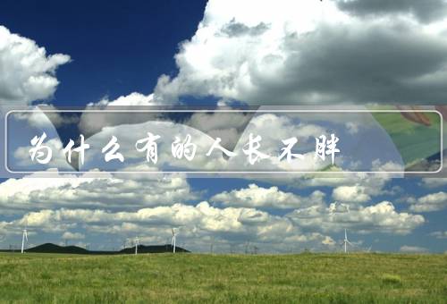 为什么有的人长不胖