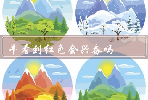 牛看到红色会兴奋吗