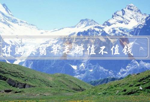 怎样购买翡翠毛料值不值钱