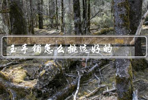 玉手镯怎么挑选好的