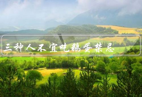 三种人不宜吃鹅蛋禁忌