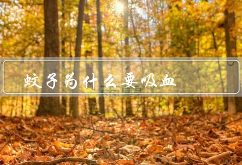 蚊子为什么要吸血