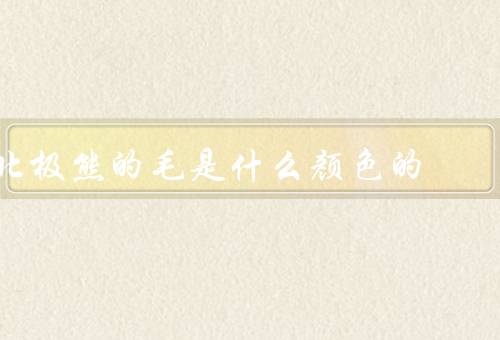 北极熊的毛是什么颜色的