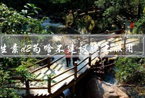 维生素d2为啥不建议晚上服用