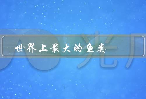 世界上最大的鱼类
