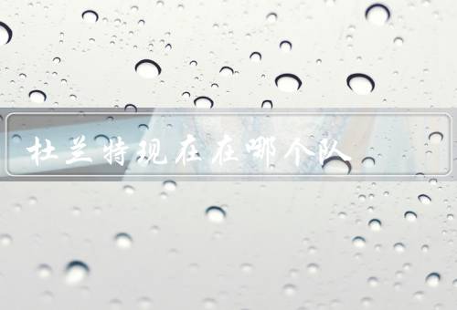 杜兰特现在在哪个队