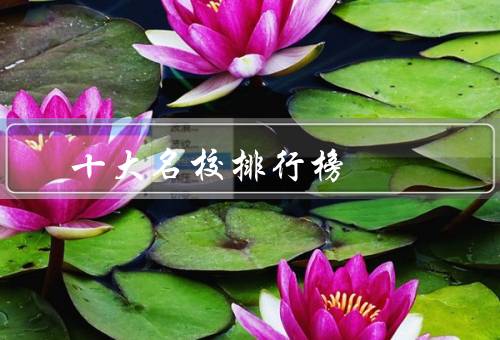 十大名校排行榜