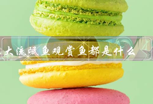 三大流氓鱼观赏鱼都是什么