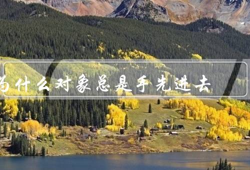 为什么对象总是手先进去