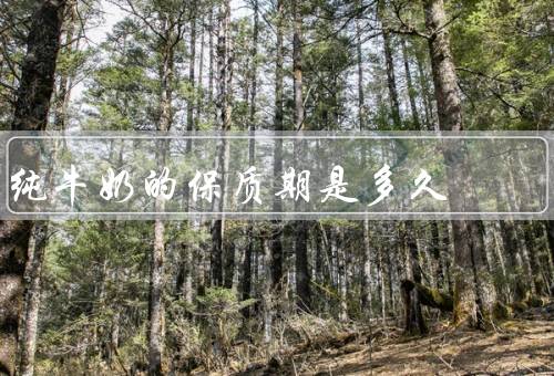 纯牛奶的保质期是多久