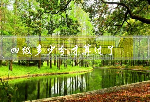 四级多少分才算过了