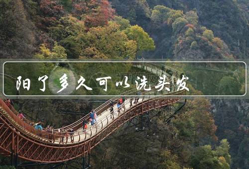 阳了多久可以洗头发
