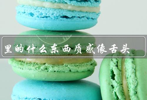 家里的什么东西质感像舌头