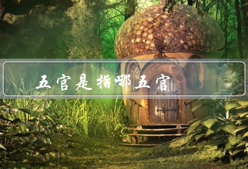 五官是指哪五官