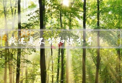我还是不能和你分手