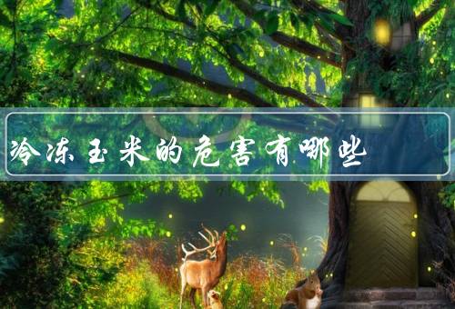 冷冻玉米的危害有哪些