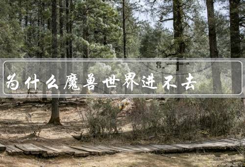 为什么魔兽世界进不去