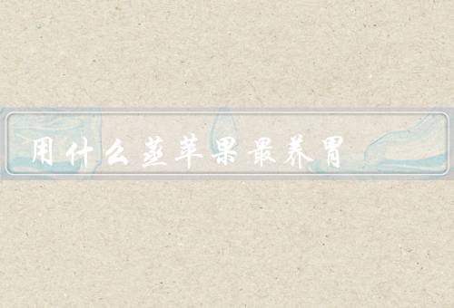 用什么蒸苹果最养胃