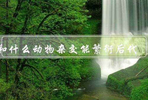 人和什么动物杂交能繁衍后代