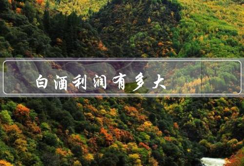 白酒利润有多大