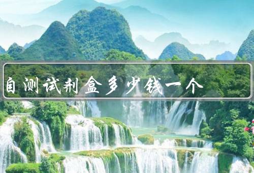 自测试剂盒多少钱一个