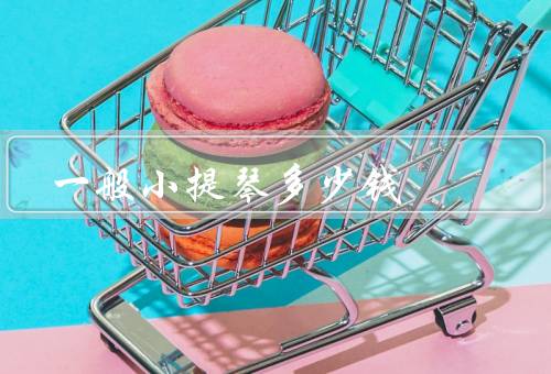 一般小提琴多少钱