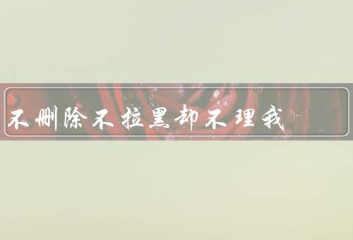 不删除不拉黑却不理我
