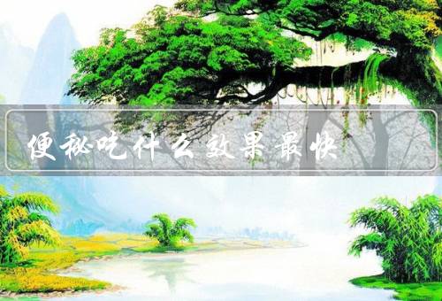 便秘吃什么效果最快