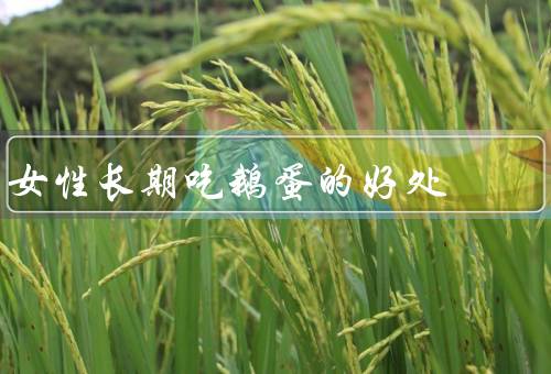 女性长期吃鹅蛋的好处