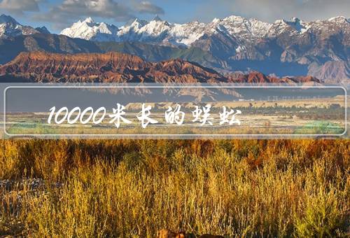 10000米长的蜈蚣