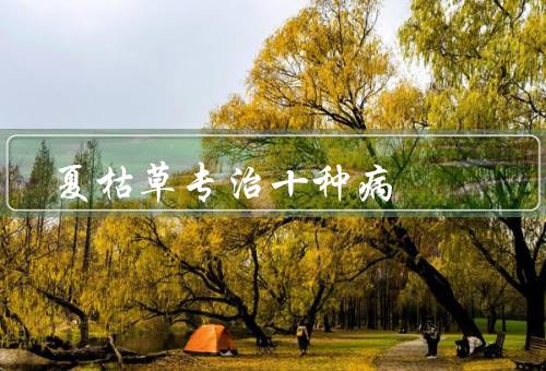 夏枯草专治十种病