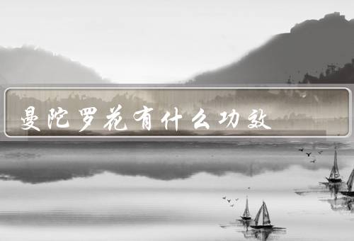 曼陀罗花有什么功效