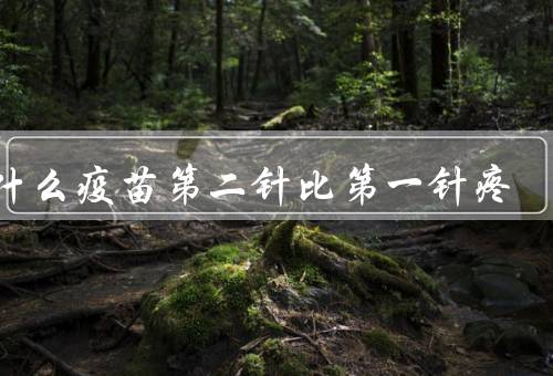 为什么疫苗第二针比第一针疼