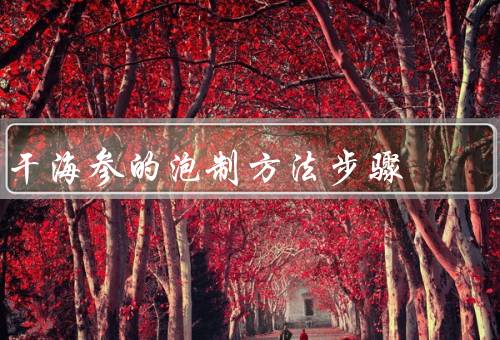 干海参的泡制方法步骤