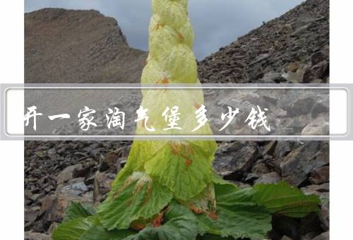 开一家淘气堡多少钱