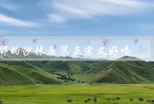 哪的沙棘原浆正宗又好喝