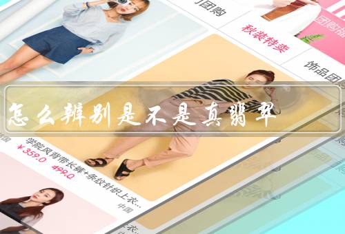 怎么辨别是不是真翡翠