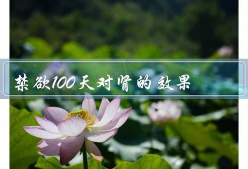 禁欲100天对肾的效果