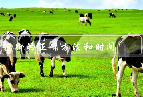 泡脚的正确方法和时间