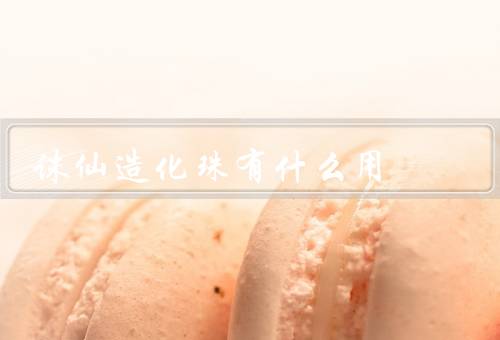 诛仙造化珠有什么用