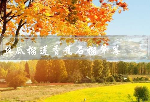 丝瓜榴莲香蕉石榴草莓