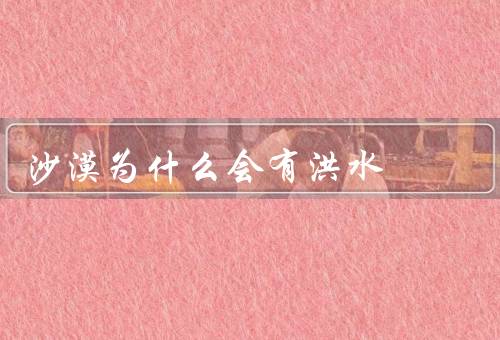 沙漠为什么会有洪水