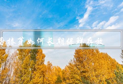 香椿芽如何长期保鲜存放