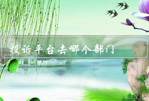 投诉平台去哪个部门