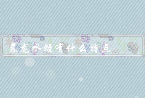 暴龙水蛭有什么特点