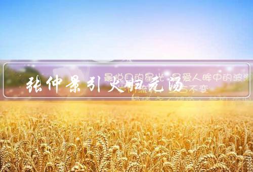 张仲景引火归元汤