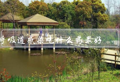 呼吸道感染吃什么药最好