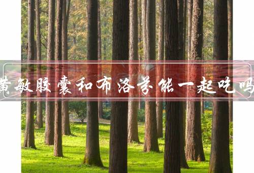 氨咖黄敏胶囊和布洛芬能一起吃吗