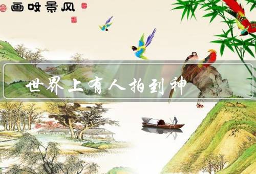 世界上有人拍到神